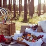 piknik biciklivel