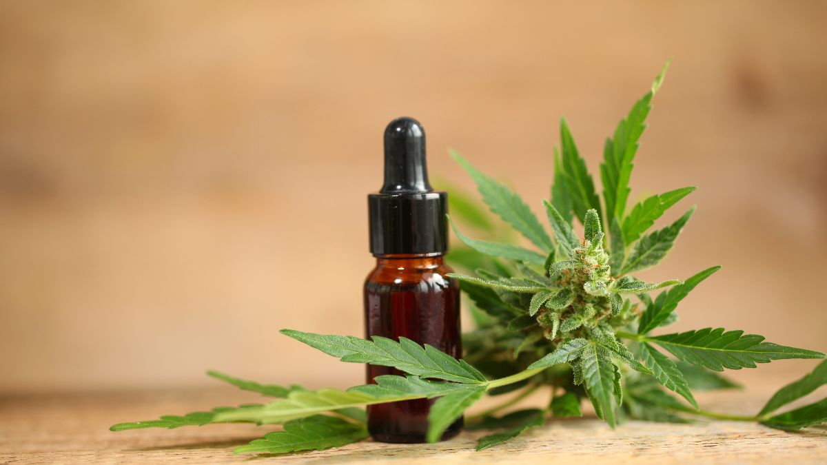 Egy üveg kannabisz olaj cseppentővel, körülötte kannabisz levelek és virágok.